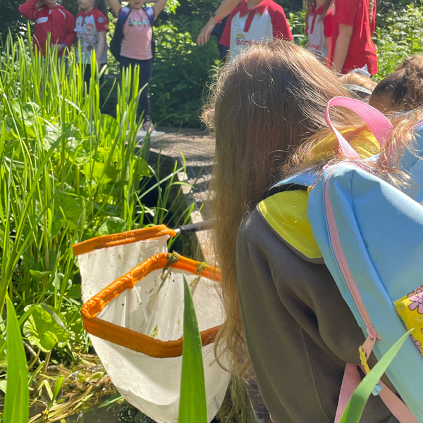 Rainbows and Brownies pond dipping, Monkton